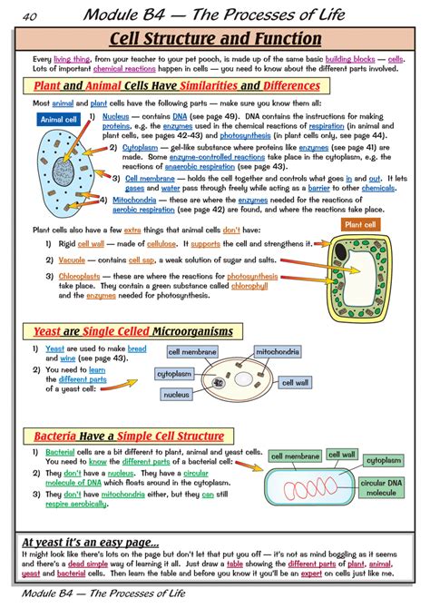 The parts that make up a cell have their own functions as well. . Cell structure and function reading comprehension